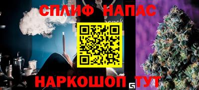 jwh Новозыбков