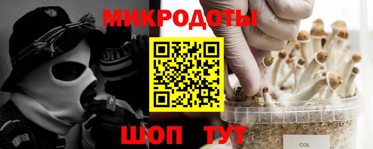 Галлюциногенные грибы мицелий  Вход с VPN  Владивосток 